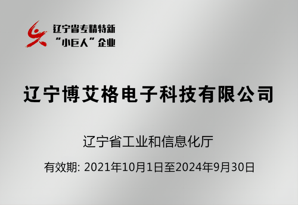 专精特新小巨人企业