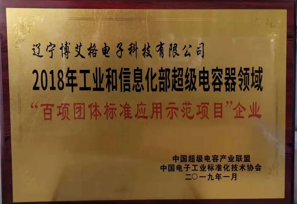 百项团体标准应用示范项目企业奖